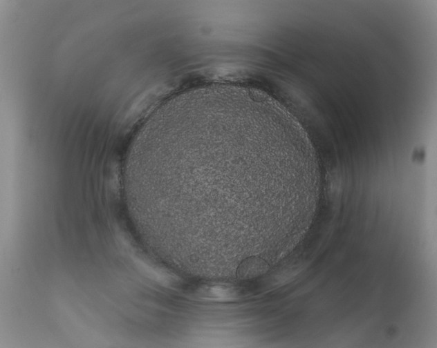 X0000110960506200907022224