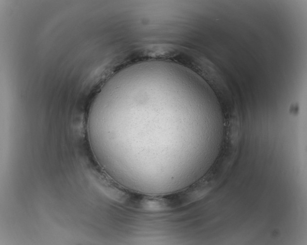 X0000110960510200907022224