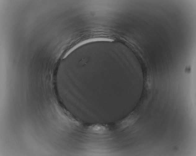 X0000110960512200907022224