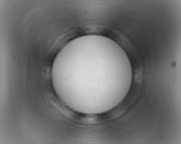 X0000110960514200907022224