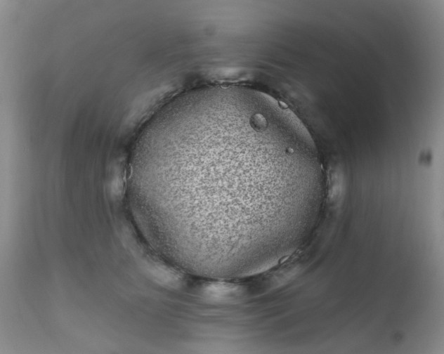 X0000110960515200907022224