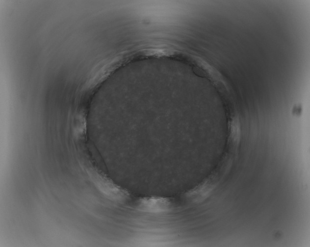 X0000110960517200907022224