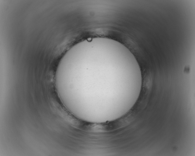 X0000110960518200907022224