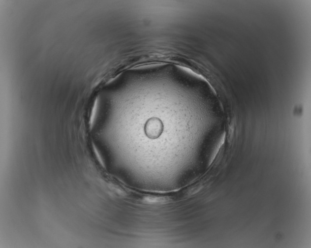 X0000110960520200907022224