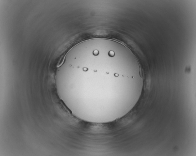 X0000110960521200907022224