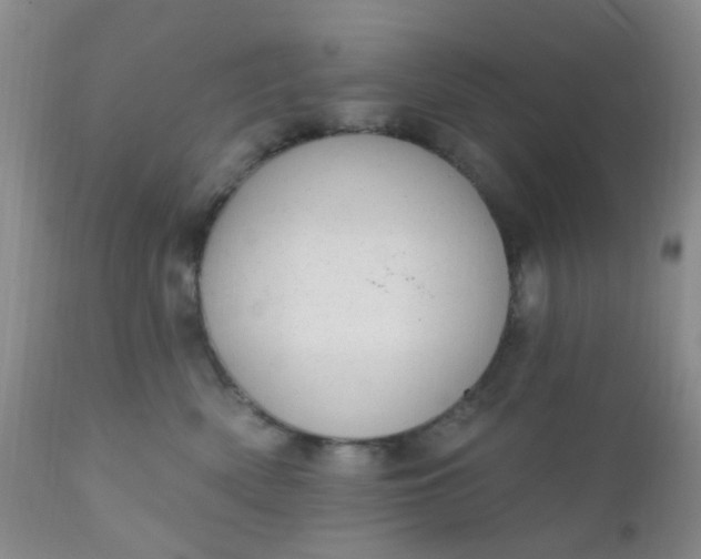 X0000110960522200907022224