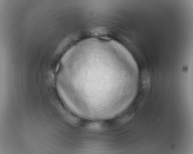 X0000110960523200907022224