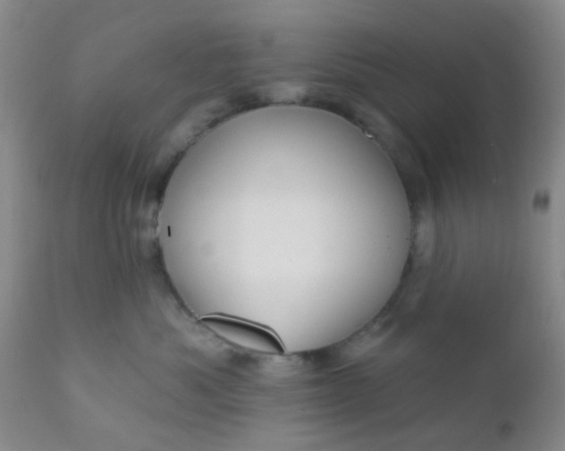 X0000110960525200907022224