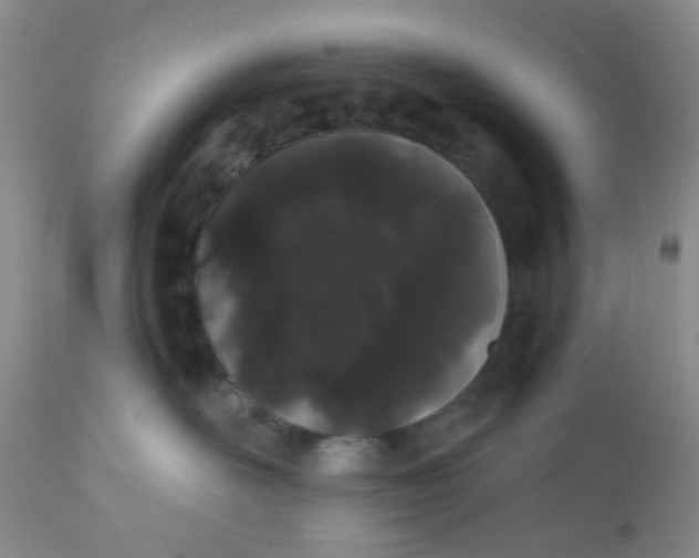 X0000110960526200907022224