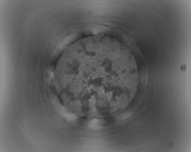 X0000110960527200907022224