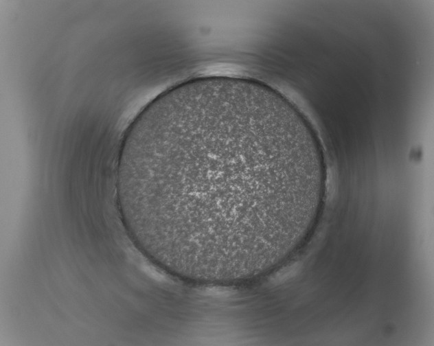 X0000110960529200907022223