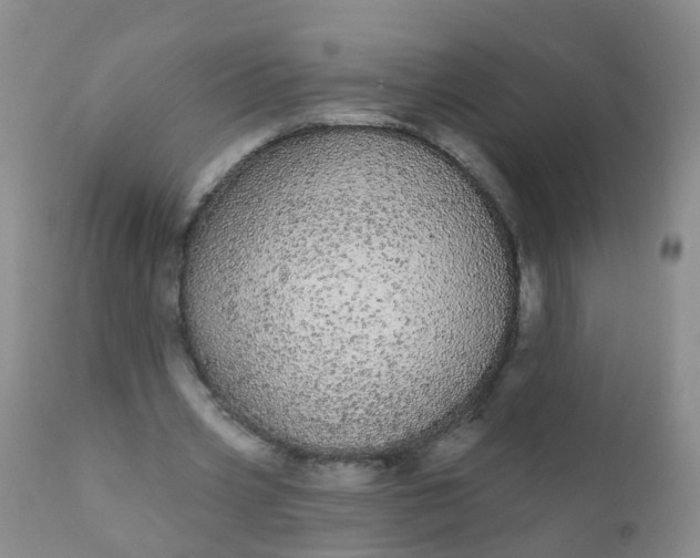 X0000110960533200907022223