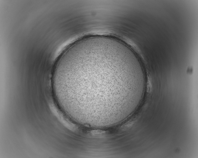 X0000110960535200907022223