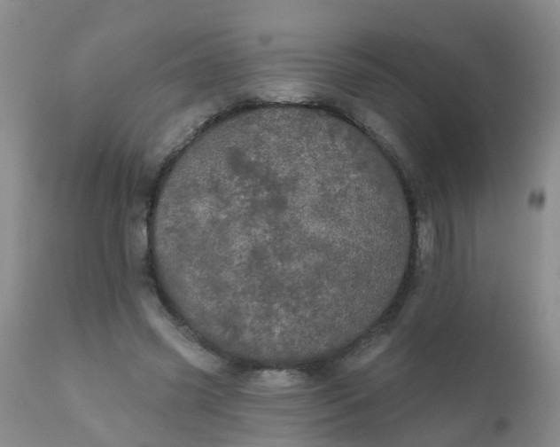 X0000110960541200907022223