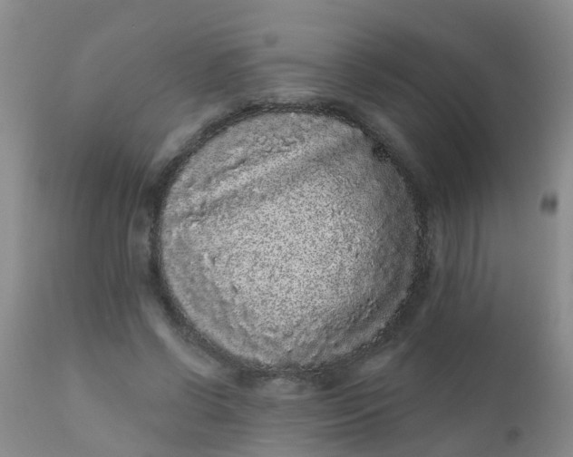 X0000110960542200907022223