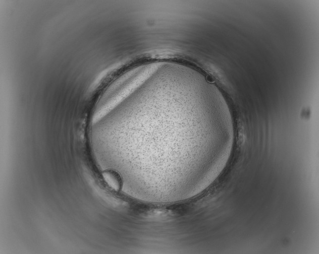 X0000110960543200907022223