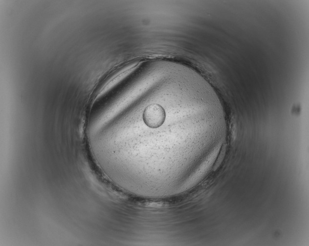 X0000110960546200907022223