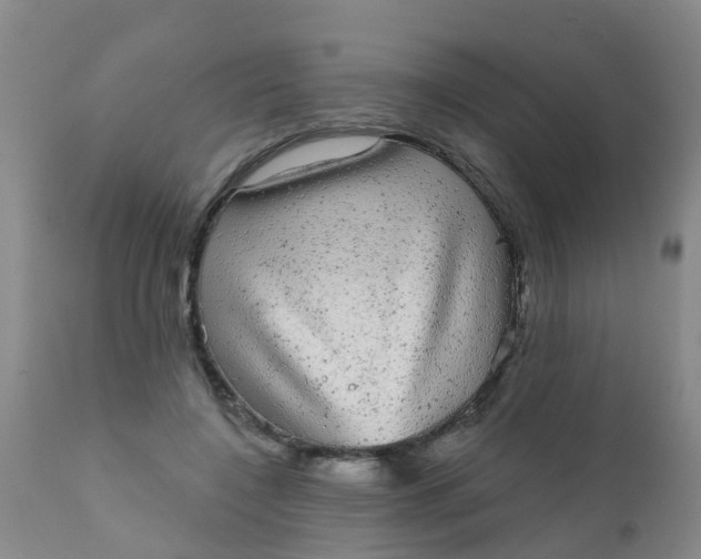 X0000110960548200907022223