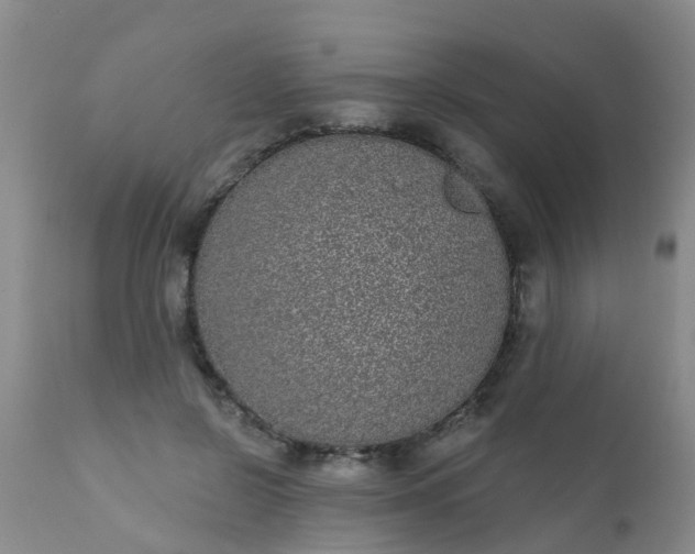 X0000110960550200907022223