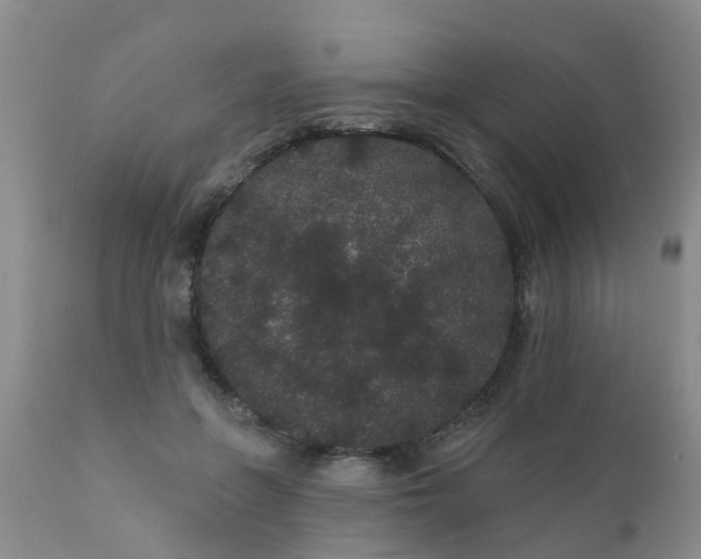 X0000110960551200907022223