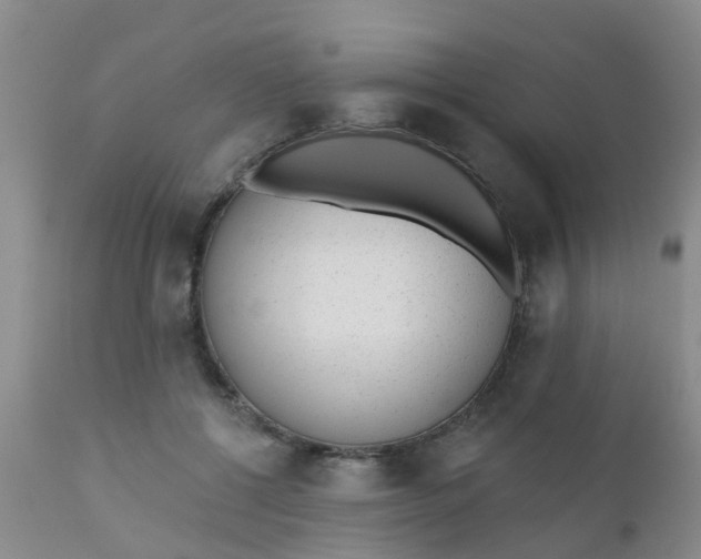 X0000110960552200907022223