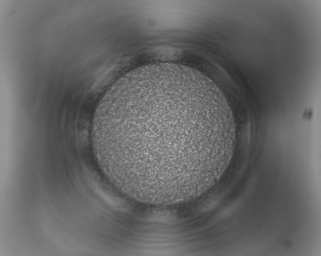 X0000110960553200907022223