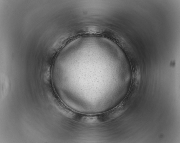 X0000110960554200907022223