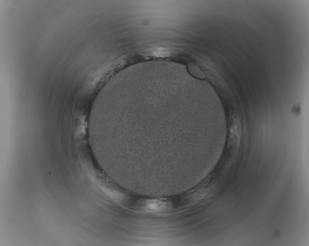 X0000110960555200907022223