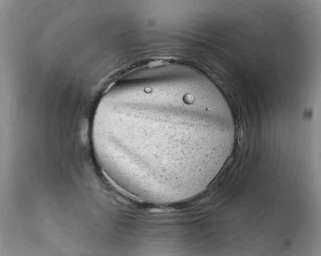 X0000110960556200907022223