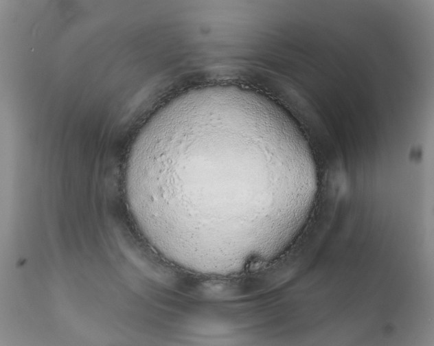 X0000110960557200907022223