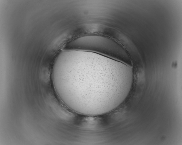 X0000110960558200907022223