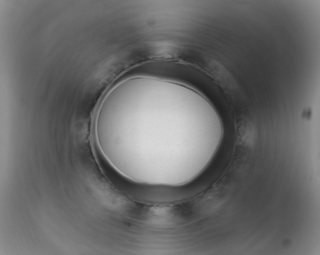 X0000110960560200907022223