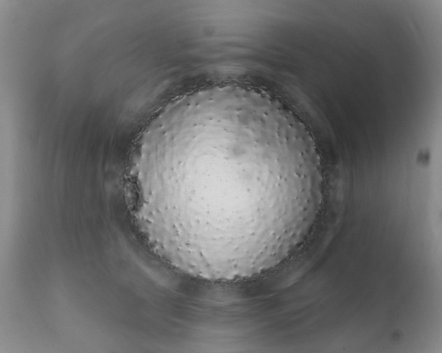 X0000110960561200907022223