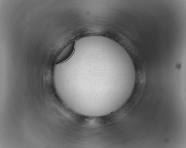 X0000110960564200907022223