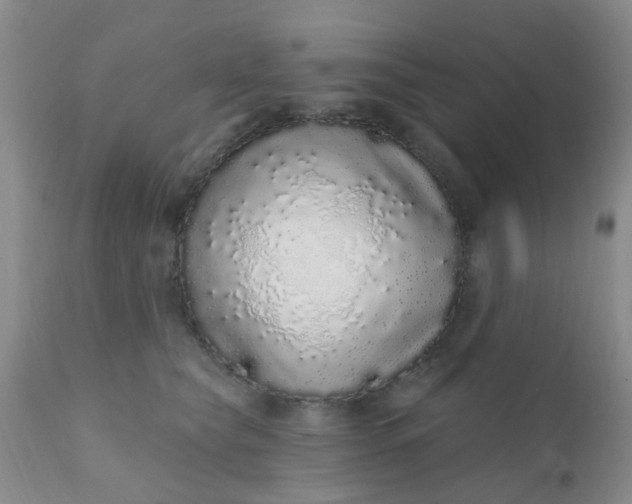 X0000110960565200907022223