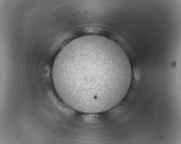 X0000110960567200907022223