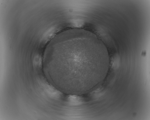 X0000110960568200907022223