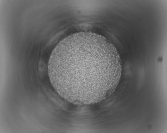 X0000110960569200907022223