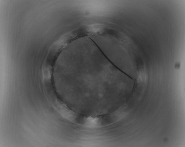 X0000110960570200907022223