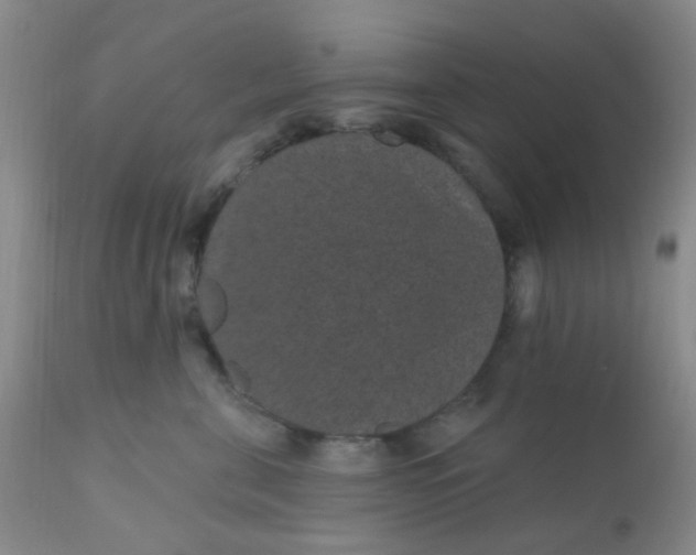 X0000110960571200907022223