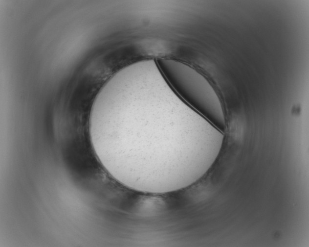 X0000110960572200907022223