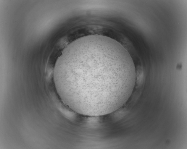 X0000110960574200907022223