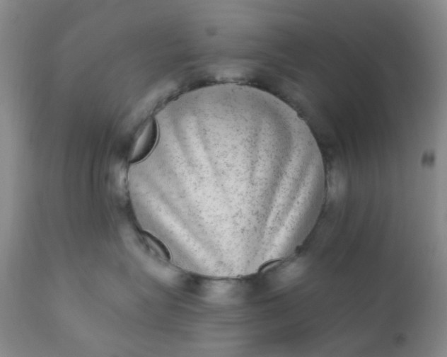 X0000110960575200907022224