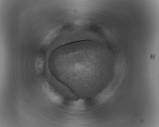 X0000110960576200907022224