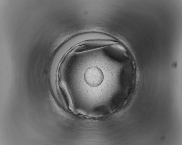 X0000110960577200907022223