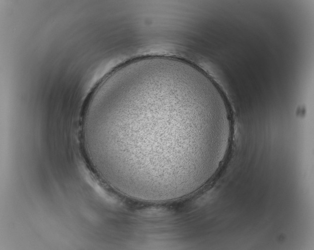 X0000110960578200907022223