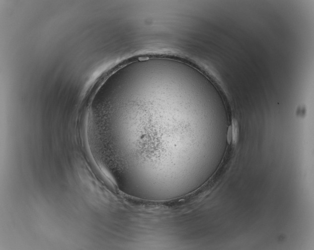 X0000110960579200907022223