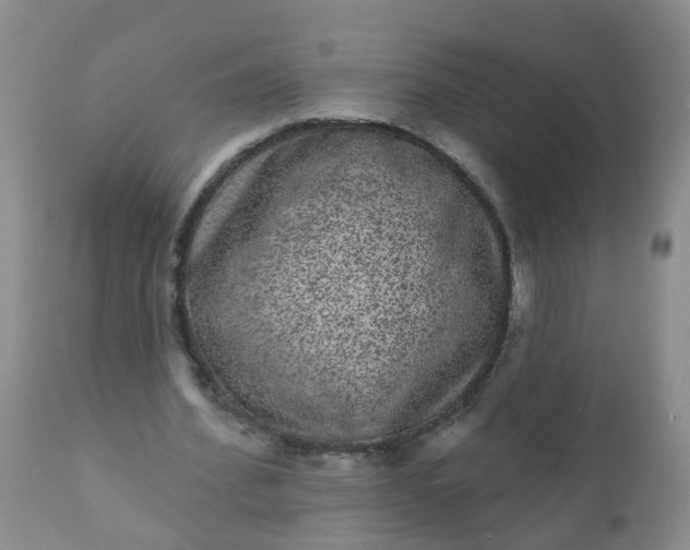 X0000110960580200907022223