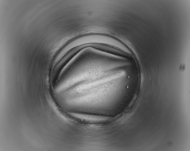 X0000110960581200907022223