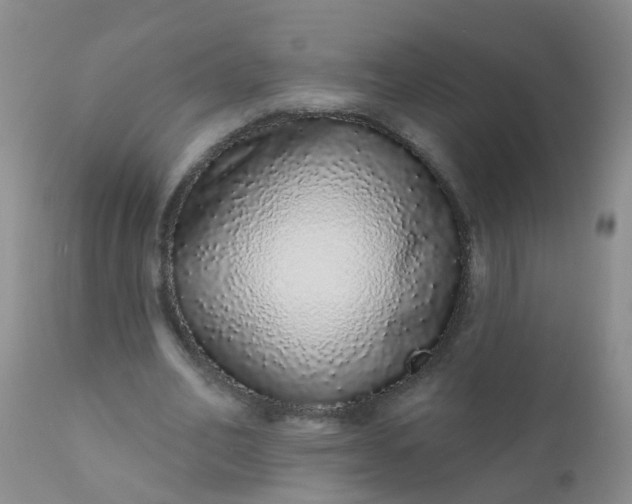 X0000110960582200907022223